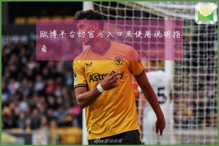 欧博平台的官方入口及使用说明指南