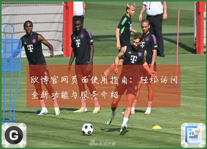 欧博官网页面使用指南：轻松访问全新功能与服务介绍